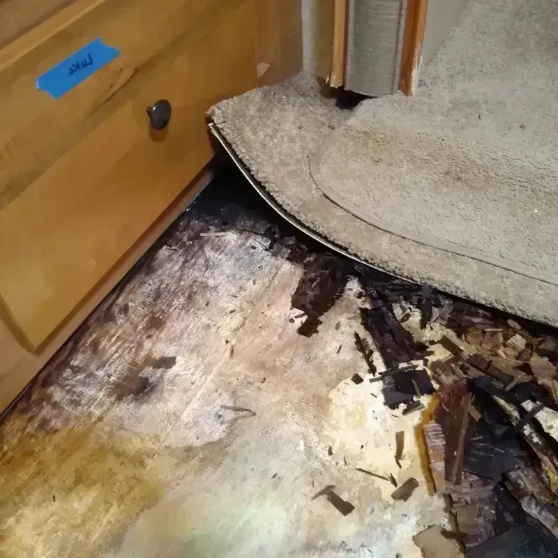 Wood Floor Water Damage in Macomb, IL